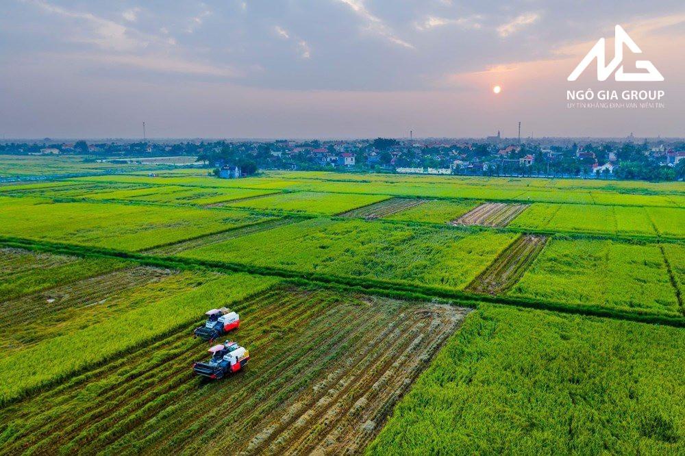 Khung giá đền bù đất nông nghiệp tại khu vực Hà Nội 